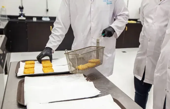 Automated Production Lines